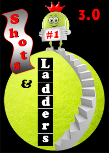 logo for MCTA and Tennis WinWin Shots and Ladders League