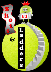 logo for MCTA and Tennis WinWin Shots and Ladders League